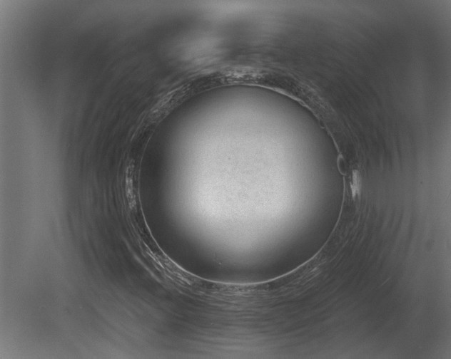 X0000081281396200701111320