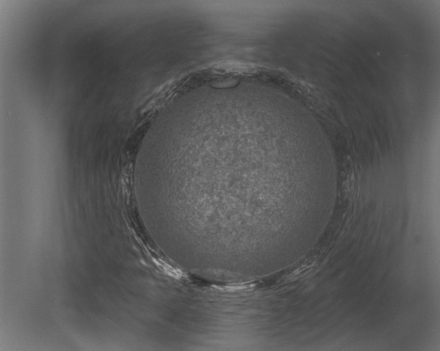 X0000081281397200701111320