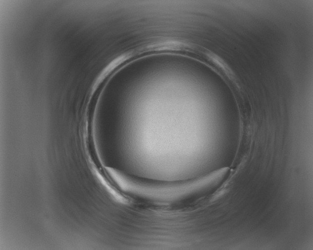 X0000081281418200701111320