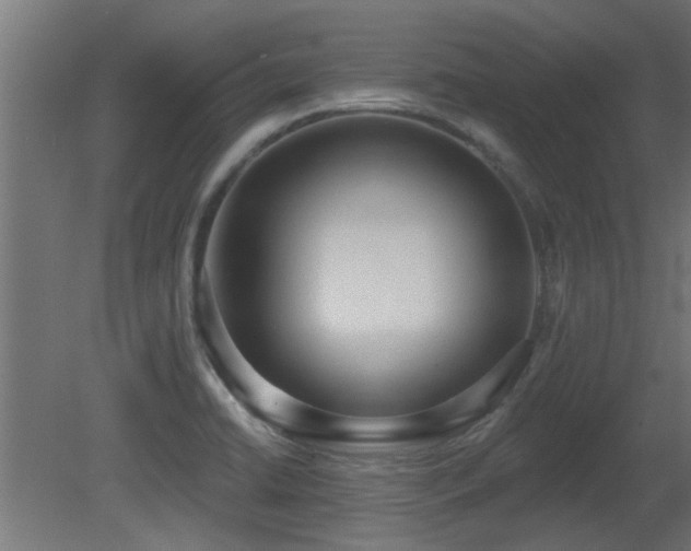 X0000081281422200701111320