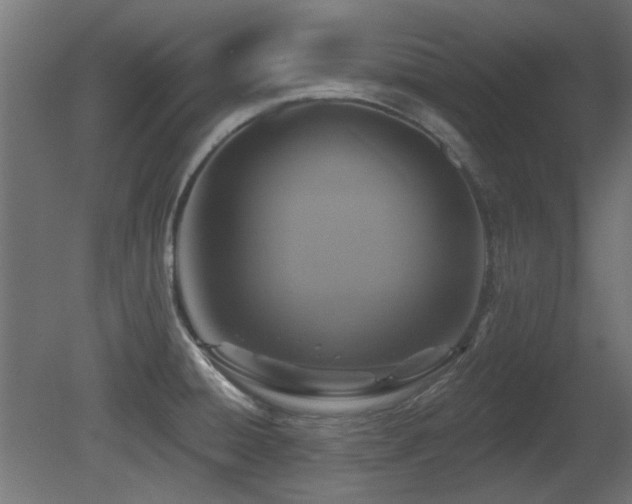 X0000081281428200701111320