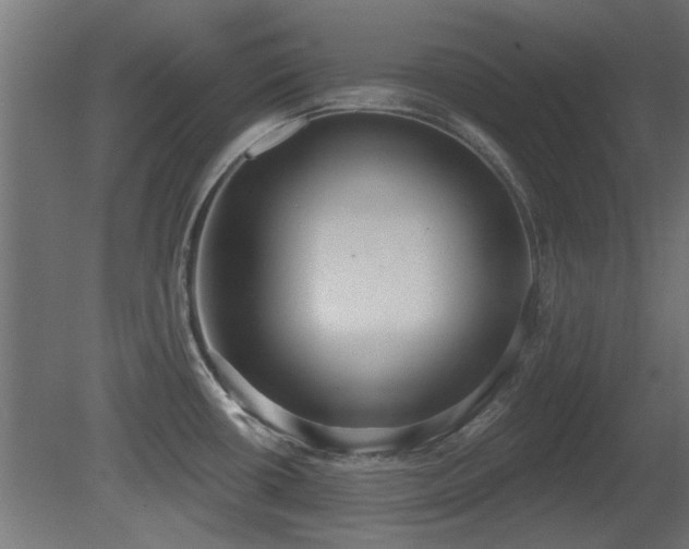 X0000081281434200701111321