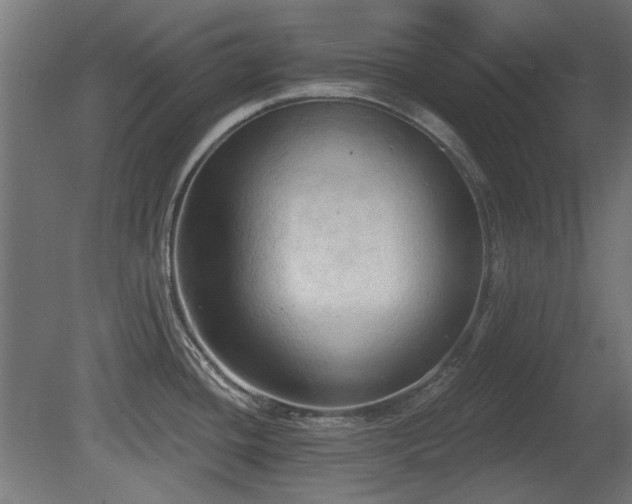 X0000081281436200701111321