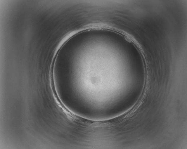 X0000081281440200701111321