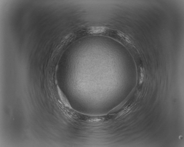 X0000081281441200701111320