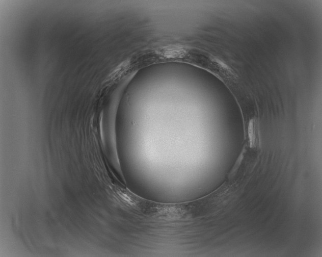 X0000081281443200701111320