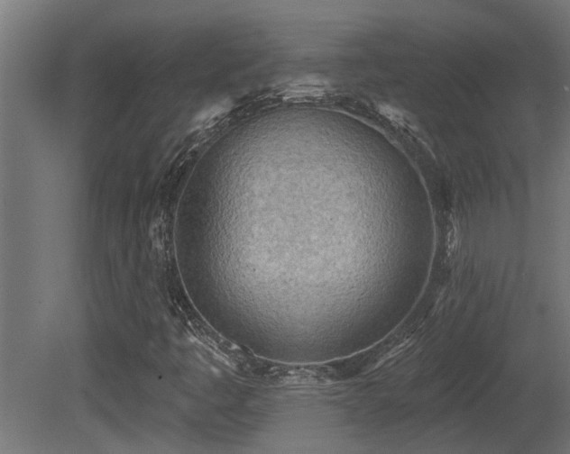 X0000081281445200701111320