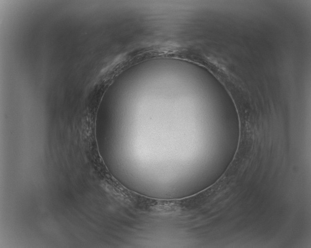 X0000081281447200701111320