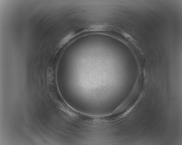 X0000081281449200701111320