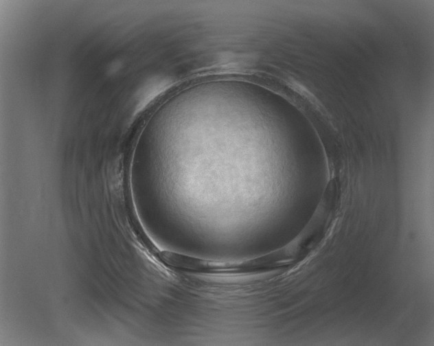 X0000081281450200701111320