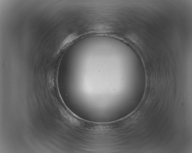 X0000081281451200701111320