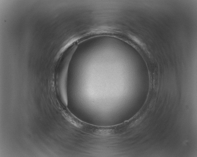 X0000081281453200701111320