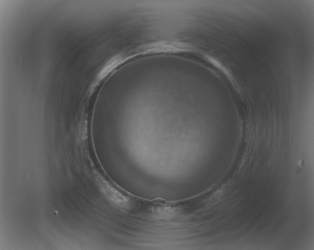 X0000081281459200701111319