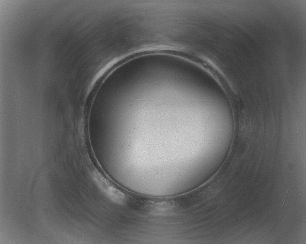 X0000081281460200701111319