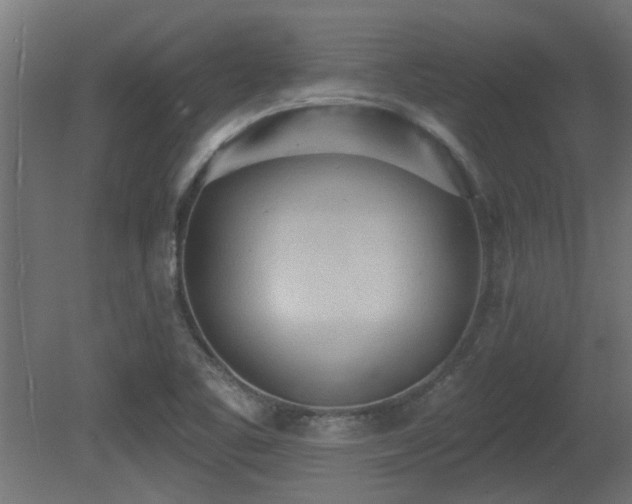 X0000081281461200701111319