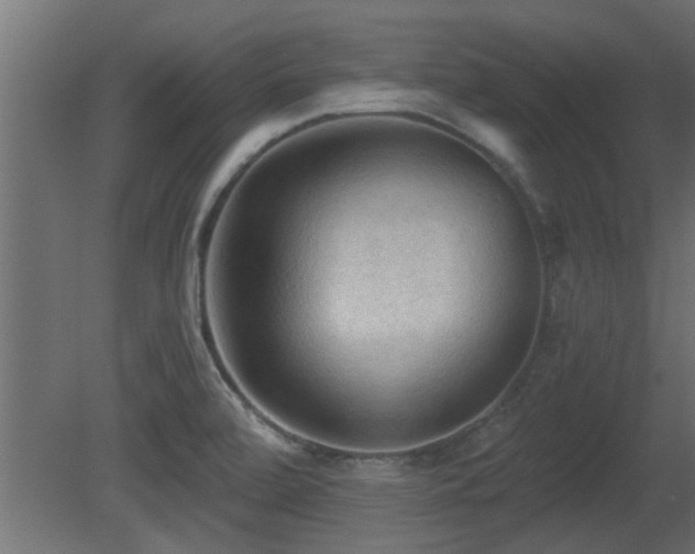 X0000081281472200701111319