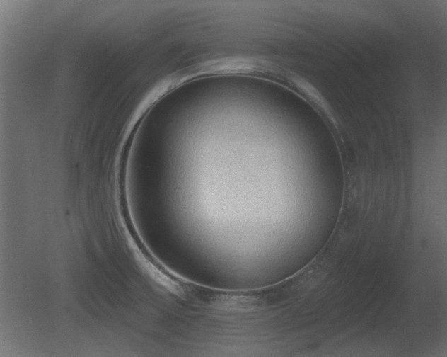 X0000081281475200701111319