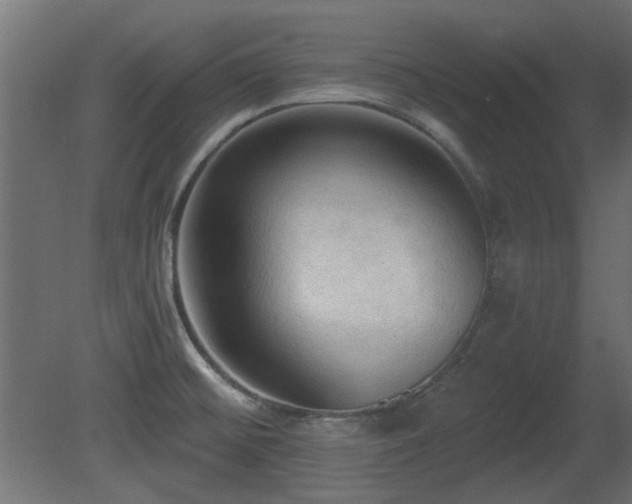 X0000081281476200701111319