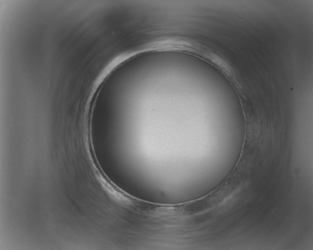 X0000081281478200701111319