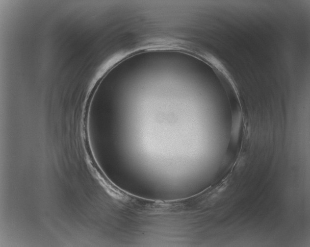 X0000081281485200701111319