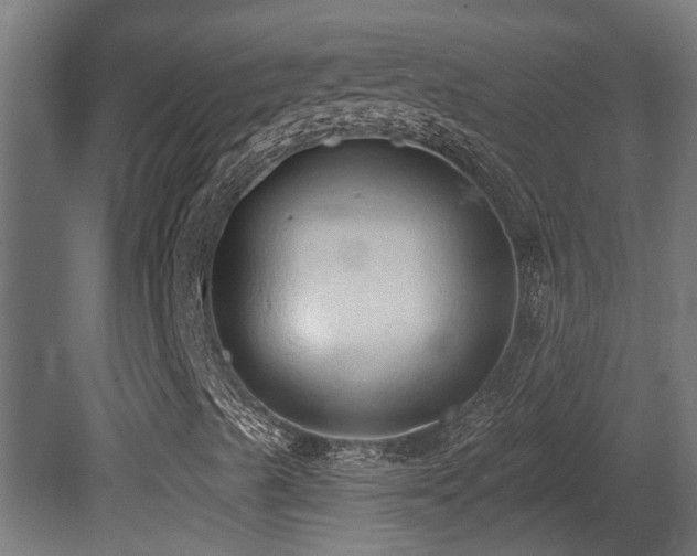 X0000081281489200701111318