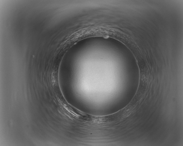 X0000081281490200701111318