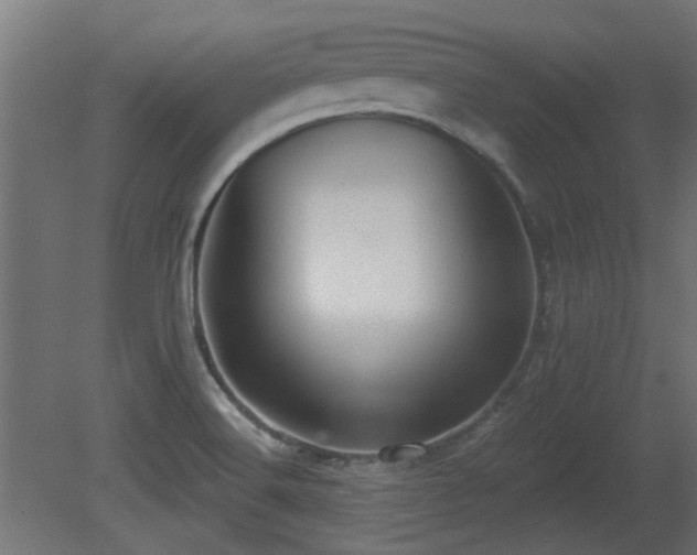 X0000081281516200701111319