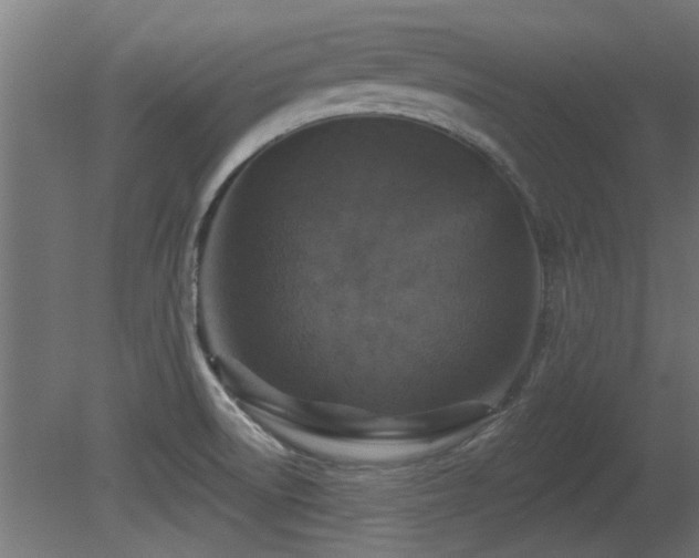 X0000081281522200701111319