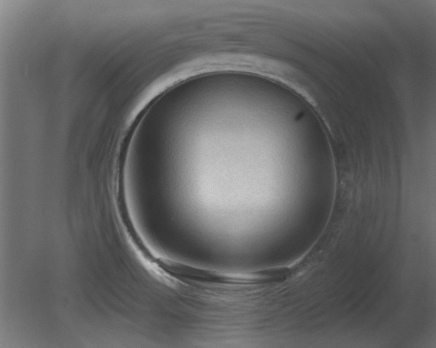 X0000081281523200701111319