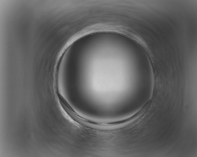 X0000081281528200701111319