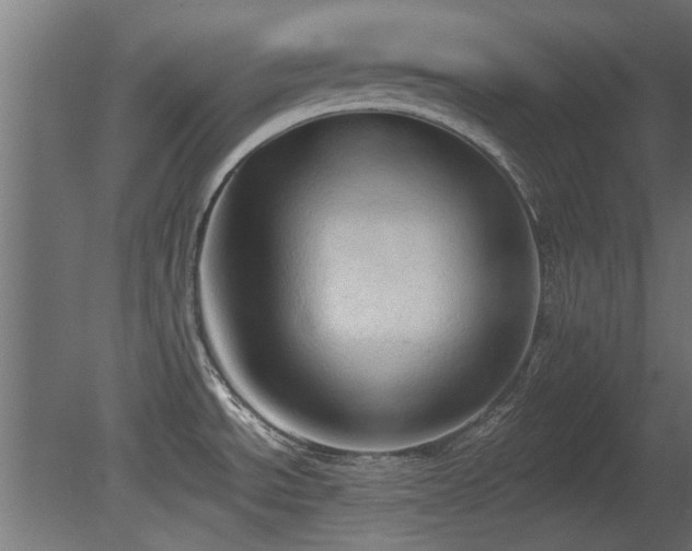 X0000081281534200701111319