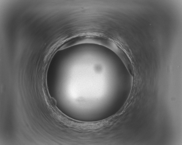 X0000081280001200701181755