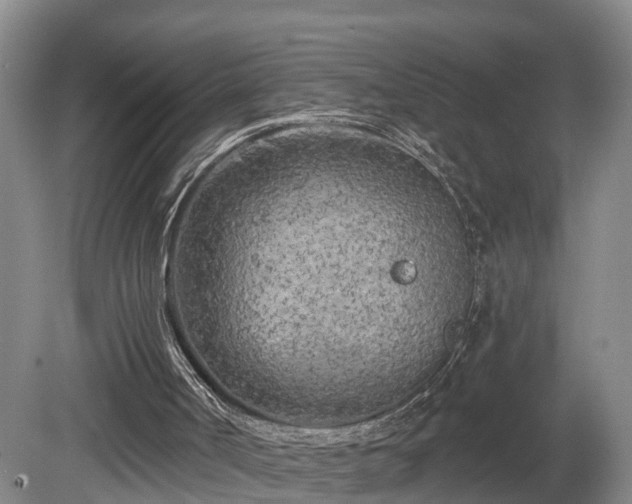 X0000081280002200701181755