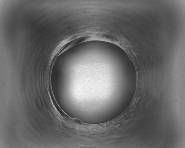 X0000081280003200701181755