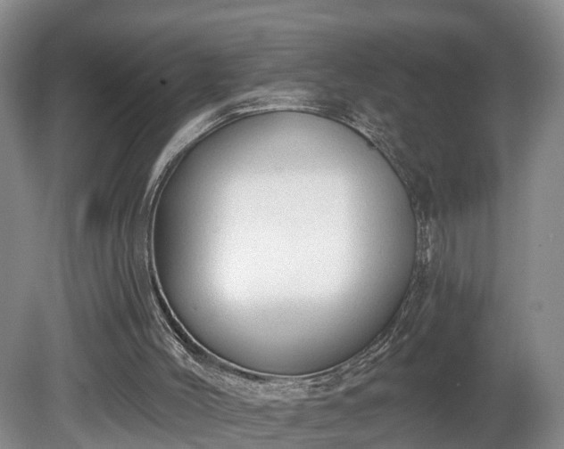 X0000081280004200701181755