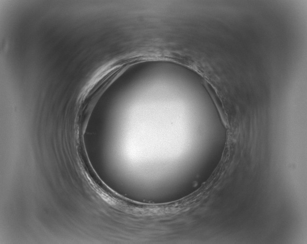 X0000081280005200701181755