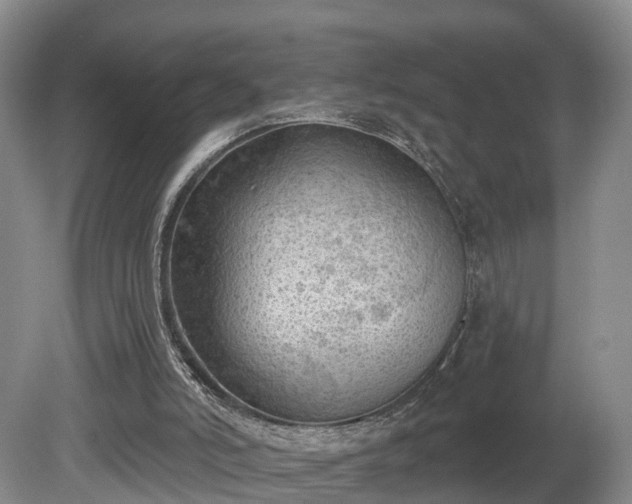 X0000081280006200701181755