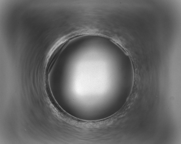 X0000081280007200701181755