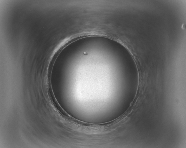 X0000081280008200701181755