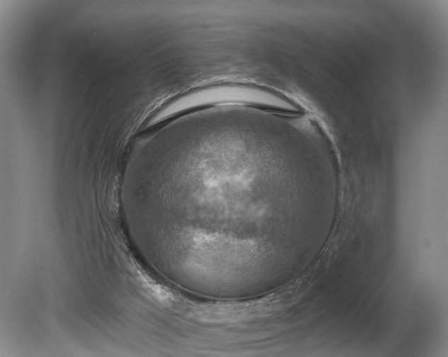 X0000081280009200701181755