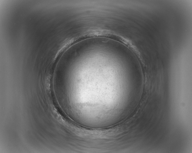 X0000081280010200701181755