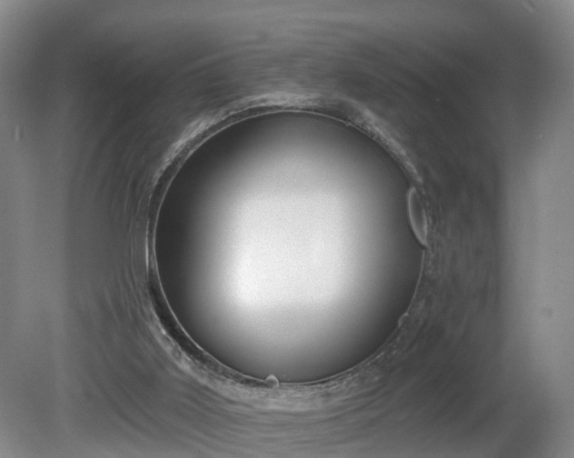 X0000081280011200701181755