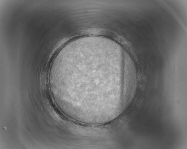 X0000081280012200701181755