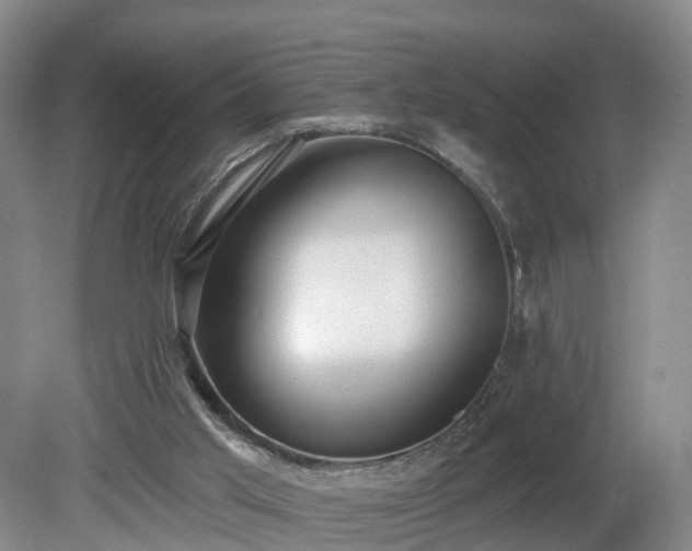 X0000081280013200701181755