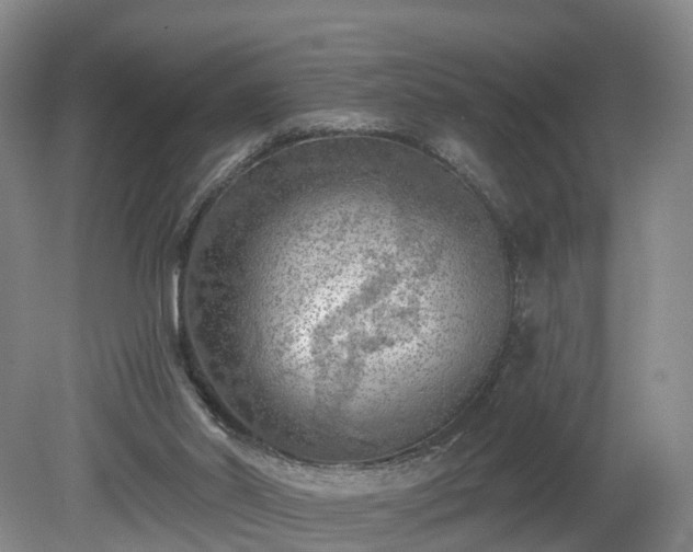 X0000081280014200701181755