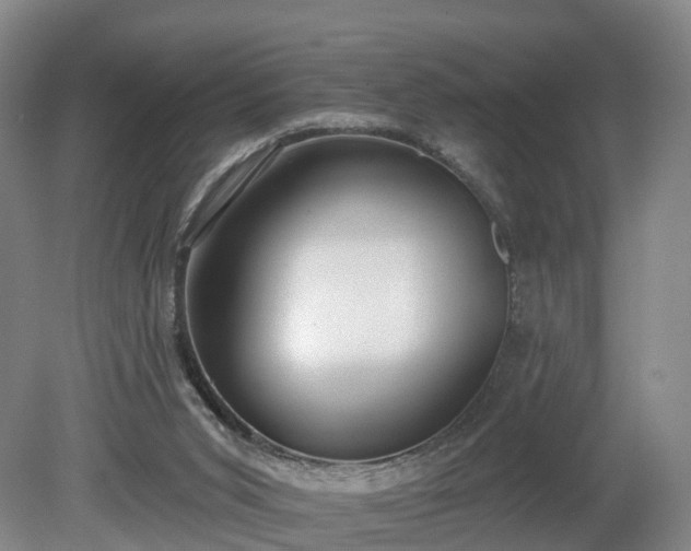 X0000081280015200701181755