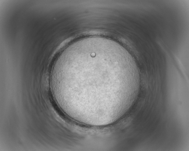 X0000081280016200701181755