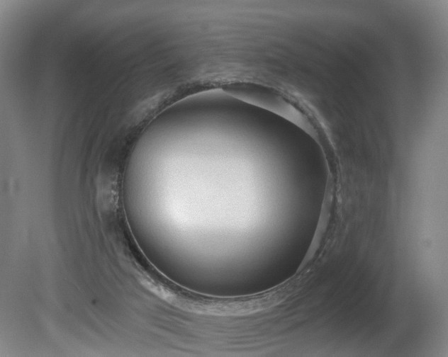 X0000081280017200701181755