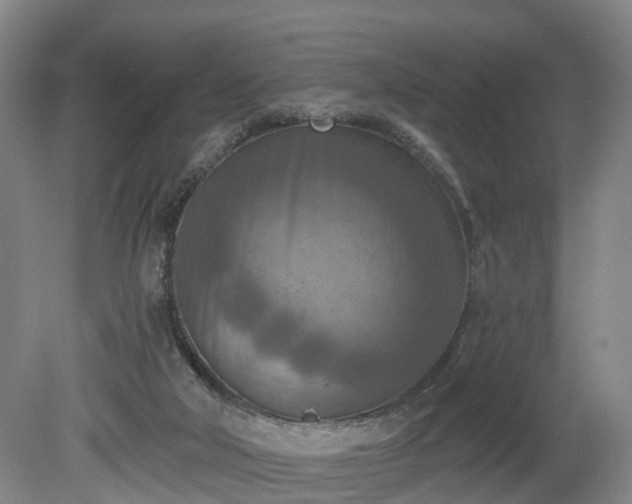 X0000081280018200701181755