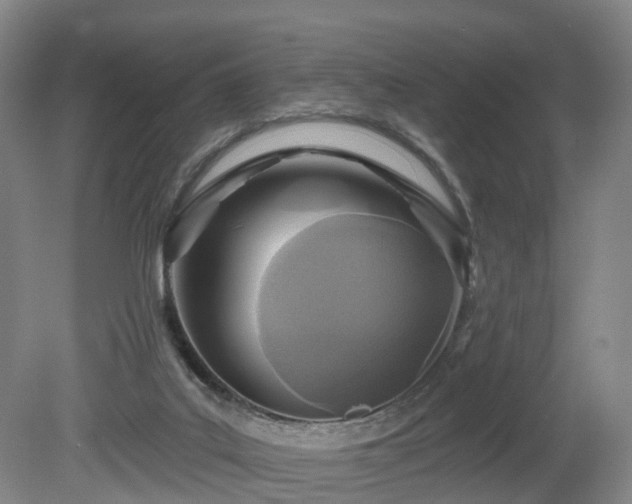 X0000081280019200701181755